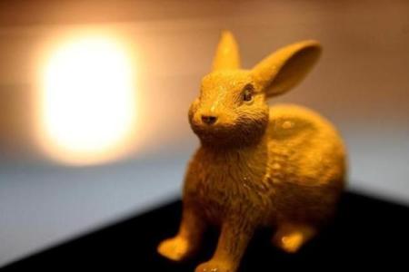 火命兔买房注意事项：理智投资与环境选择的艺术