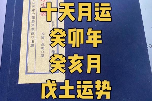 乙丑海中金命的命理分析与运势解读，探索人生的宝藏与挑战