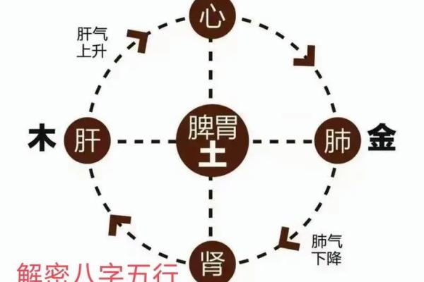 探索男子一九二九三九命运的奥秘：人生的五行哲学与命理智慧