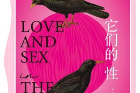 爱美如命的动物——揭开自然界的美丽密码