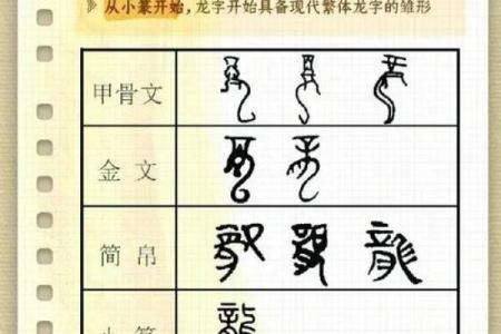 2024年龙年命格解析：如何把握机遇与挑战！