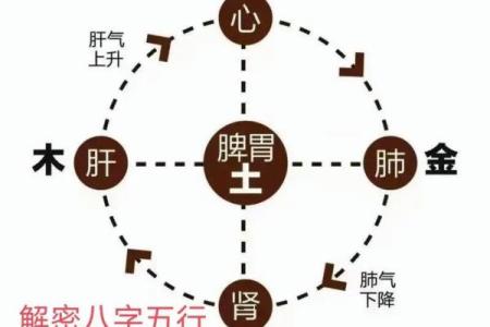 探索男子一九二九三九命运的奥秘：人生的五行哲学与命理智慧