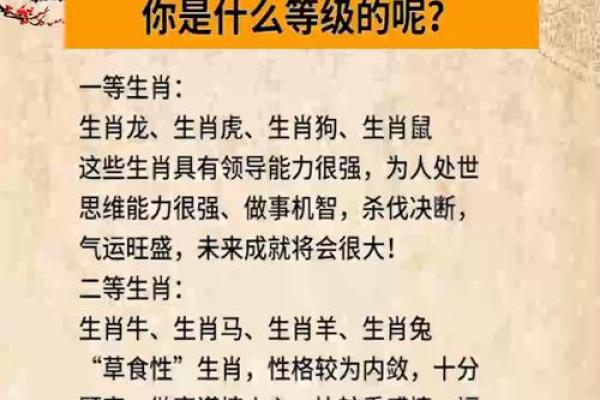探秘核心命座：与生肖的深度关联与启示