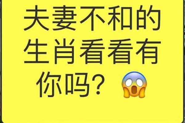 解密牛马命：生肖与命运的精彩交织