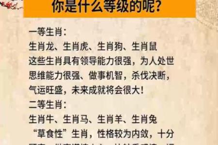 探秘核心命座：与生肖的深度关联与启示