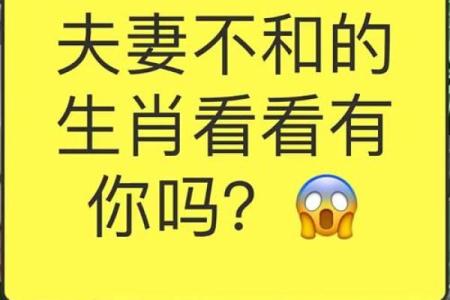 解密牛马命：生肖与命运的精彩交织