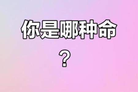 什么人什么命：探讨命运与性格之间的关系