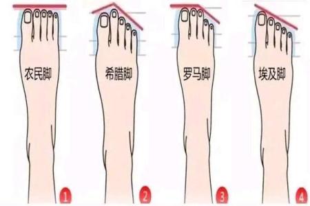 女生手脚宽大的命运解析与生活智慧分享