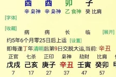 解读辛亥、辛丑、壬子三命的命理特征与人生启示