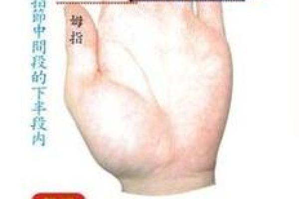 手指命理揭秘：看看你的手指透露了什么命运信息