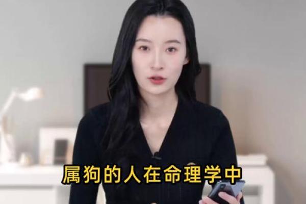 2006年属狗命理解析：揭秘最幸福的命运之路