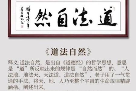 命局与婚姻的美满：命理中的幸福密码