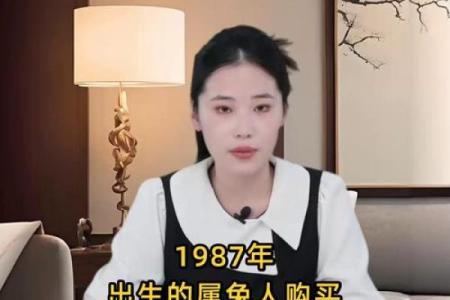 揭开1987火兔命的神秘面纱：缺什么才能更幸运？