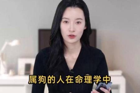 2006年属狗命理解析：揭秘最幸福的命运之路