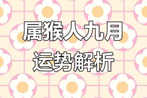 2004属猴之人：命运解析及人生智慧