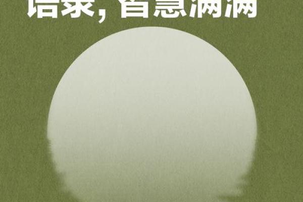 2004属猴之人：命运解析及人生智慧