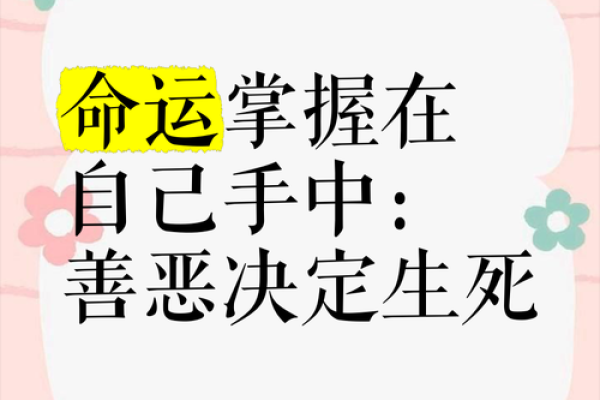 命运掌握在自己手中：探索命与运的关系