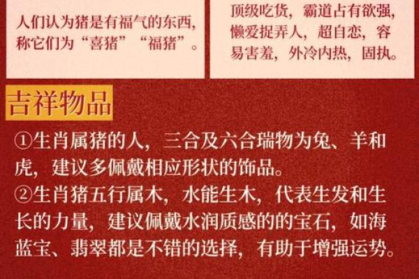 属猪金命的人适合佩戴什么饰品？探秘五行与生活的完美契合！