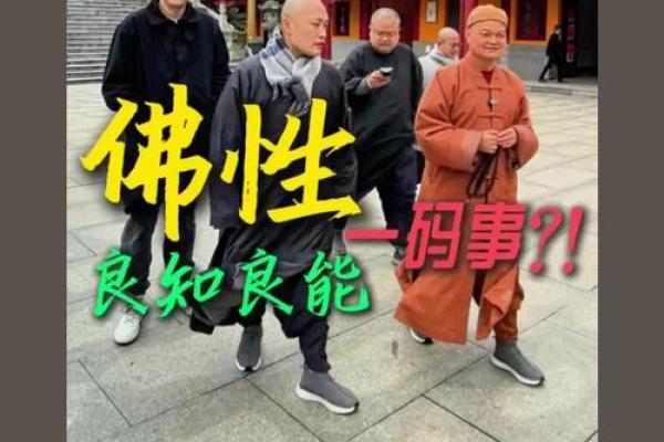 和尚命：在生活中寻找内心的和谐与智慧