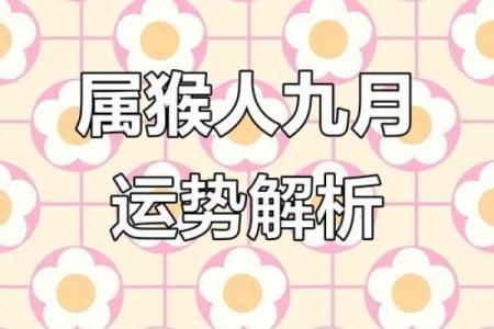 2004属猴之人：命运解析及人生智慧
