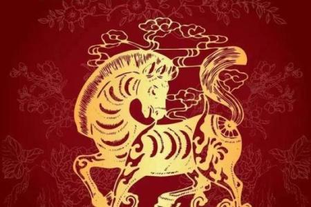 35岁马命解析：探秘马年人的性格与命运轨迹