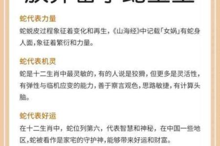 1938年：蛇年里的故事与人情温暖的回忆