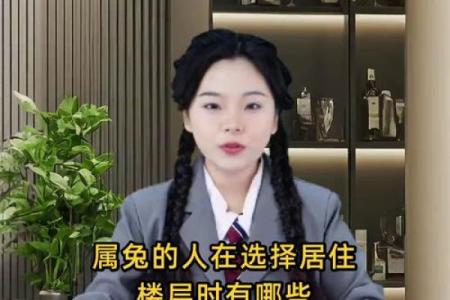属兔的人适合居住的吉宅选择与风水秘诀