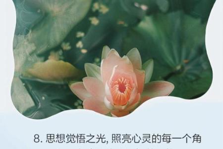 探寻命格与入佛门的契机：让心灵归宿的智慧之旅