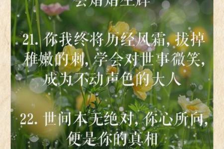 探寻“命”与“意”的深邃内涵，领悟人生真谛