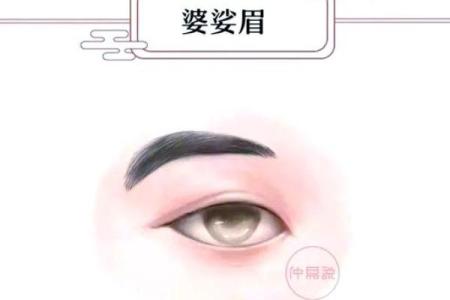 天生有眉毛的命运解读：五种生活状态的背后故事