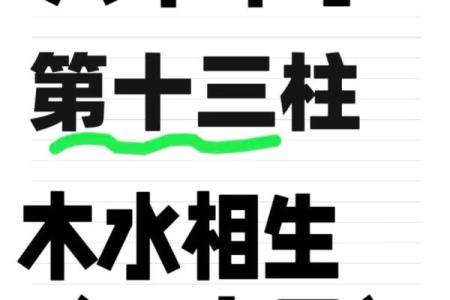 了解乙亥命：探秘2019年出生人的命运与性格特点