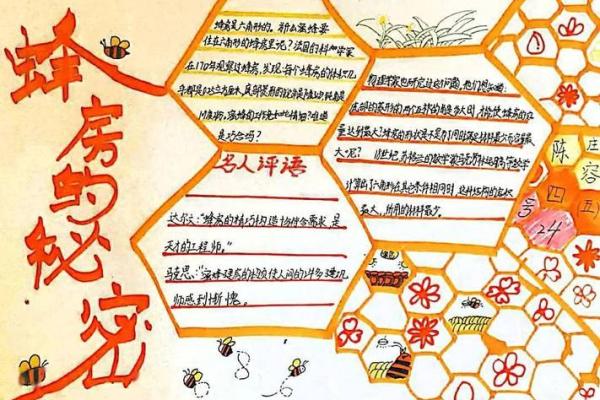 喜欢树林的人格特征与命格解析：探寻自然灵魂的真谛