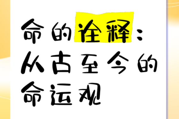 命是福：探讨生命中的机遇与挑战