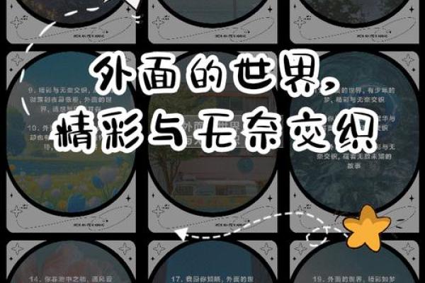 命与白云交织，探寻人生真谛的成语之美