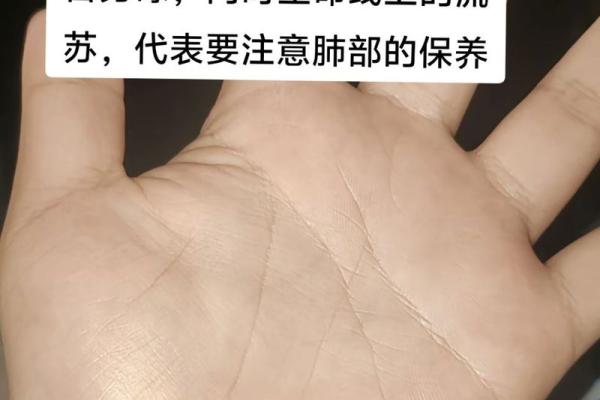 如何识别你的命理特征，洞察人生方向的秘密