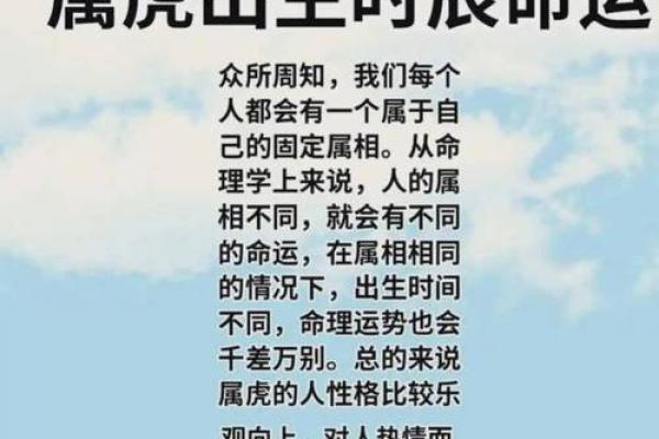 探索生命的奥秘：软件命理如何揭示你的性格与运势