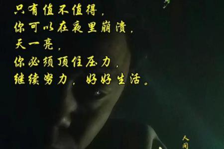 命里祖业全无，这片天外之地映照人生的求索与反思