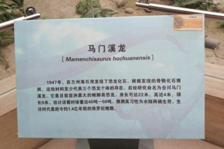 解析2000女龙的命运与性格特征，揭示人生的奥秘和挑战