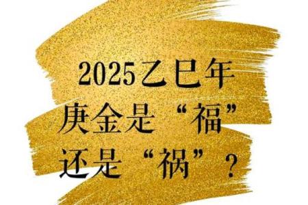 命是福：探讨生命中的机遇与挑战