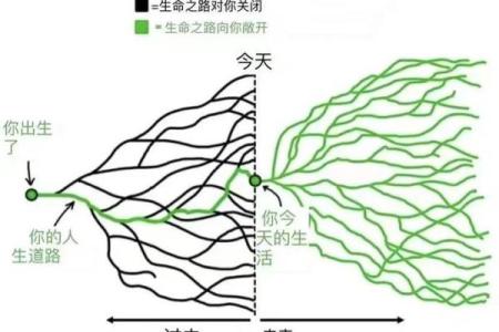 男性1994年出生的命运解析：寻找自己的生命之路