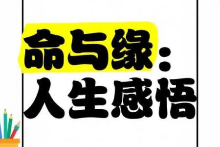 探寻“命换命，二心”的深意：生命与信念的交织