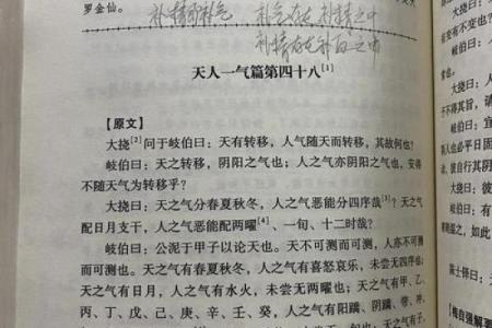 探索道教命理思想：天人合一的智慧与奥秘