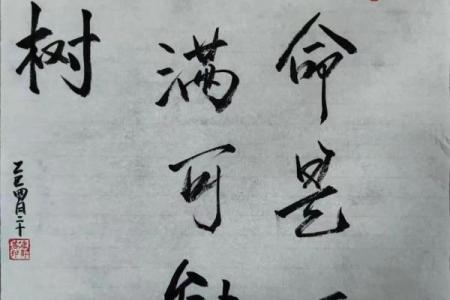 根据什么命种什么树，成就人生精彩篇章