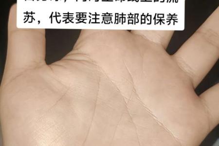 如何识别你的命理特征，洞察人生方向的秘密