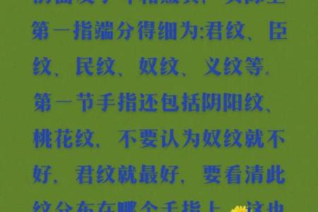 揭开掌纹的秘密：女人的命运与幸福的掌控之道