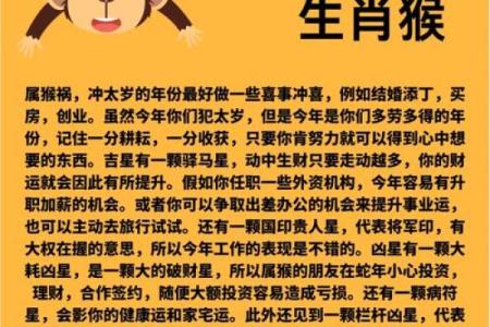 80年猴年出生者的命理探秘：他们缺什么，如何弥补？