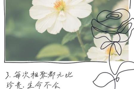 《别轻易丢了命：如何珍惜生命的每一刻》