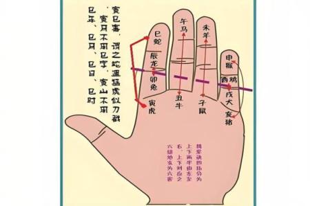 算命揭秘：你属于什么命格的人？