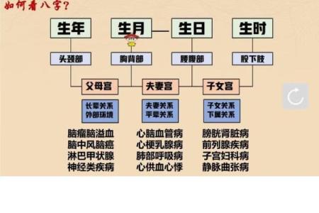 1985牛虎年出生的命理解析与人生指引