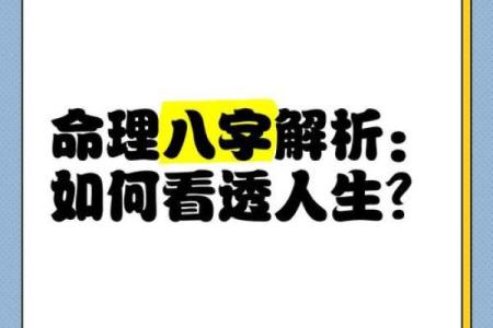 13年出生的人命理解析：探索他们的人生与运势